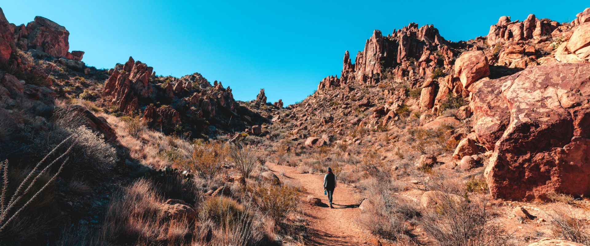 Navigating Rocky Terrains